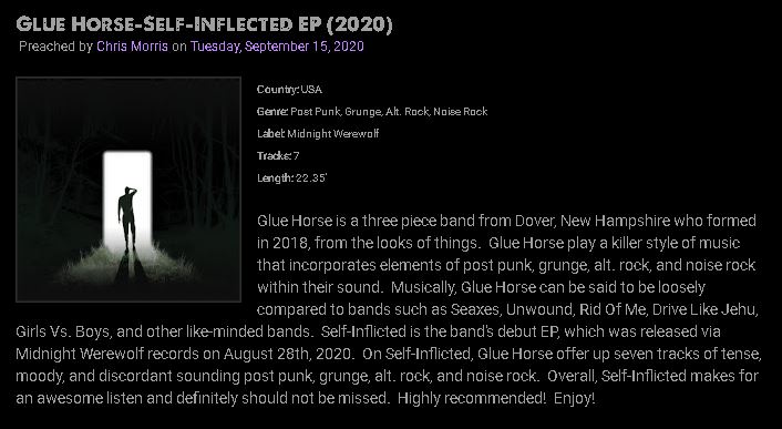 Self-Inflicted Review 2020